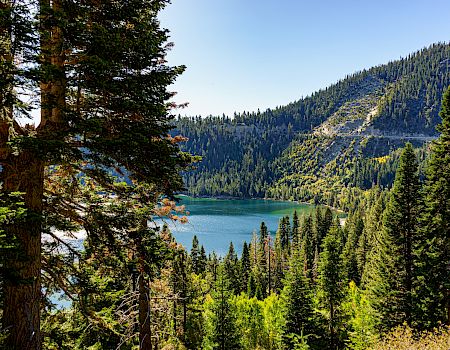 A serene lake is surrounded by dense forest and hilly terrain under a clear blue sky, offering a beautiful and tranquil natural landscape.